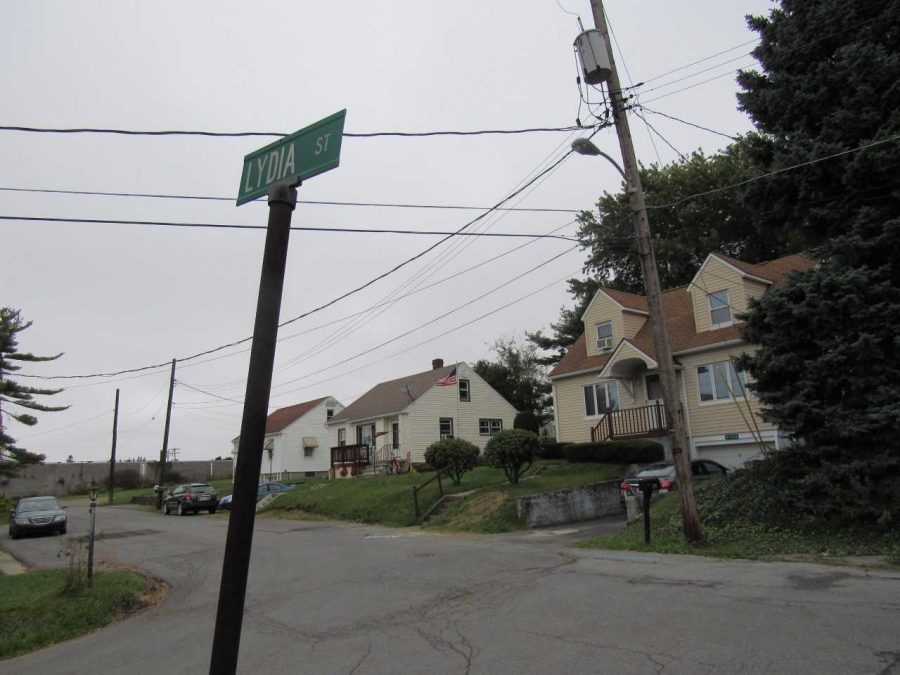 Lydia Street, where a 2013 unsolved homicide occurred, is located in Richland Township. 