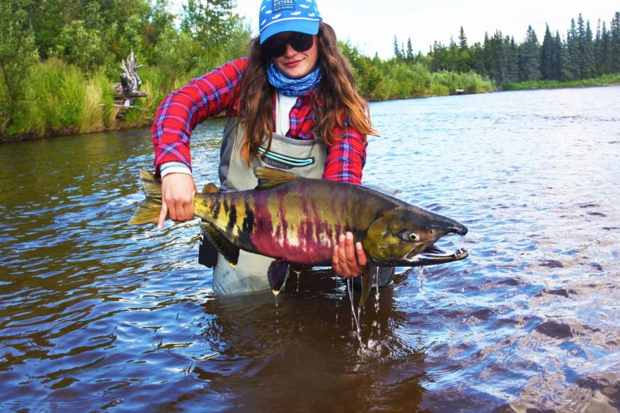 Senior education and biology student Kylie Hogan holds up a Chum Salmon. She visited Bristol Bay, Alaksa over the summer to learn about a toxic mine and go fishing. | 