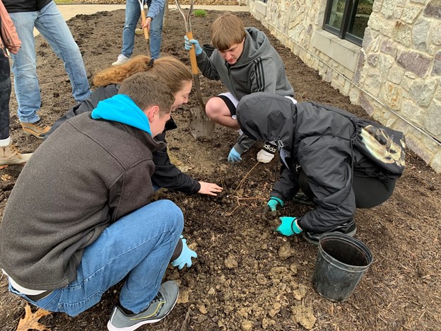 Students plant blueberry bushes outside of UPJs Nursing and Health Sciences building.